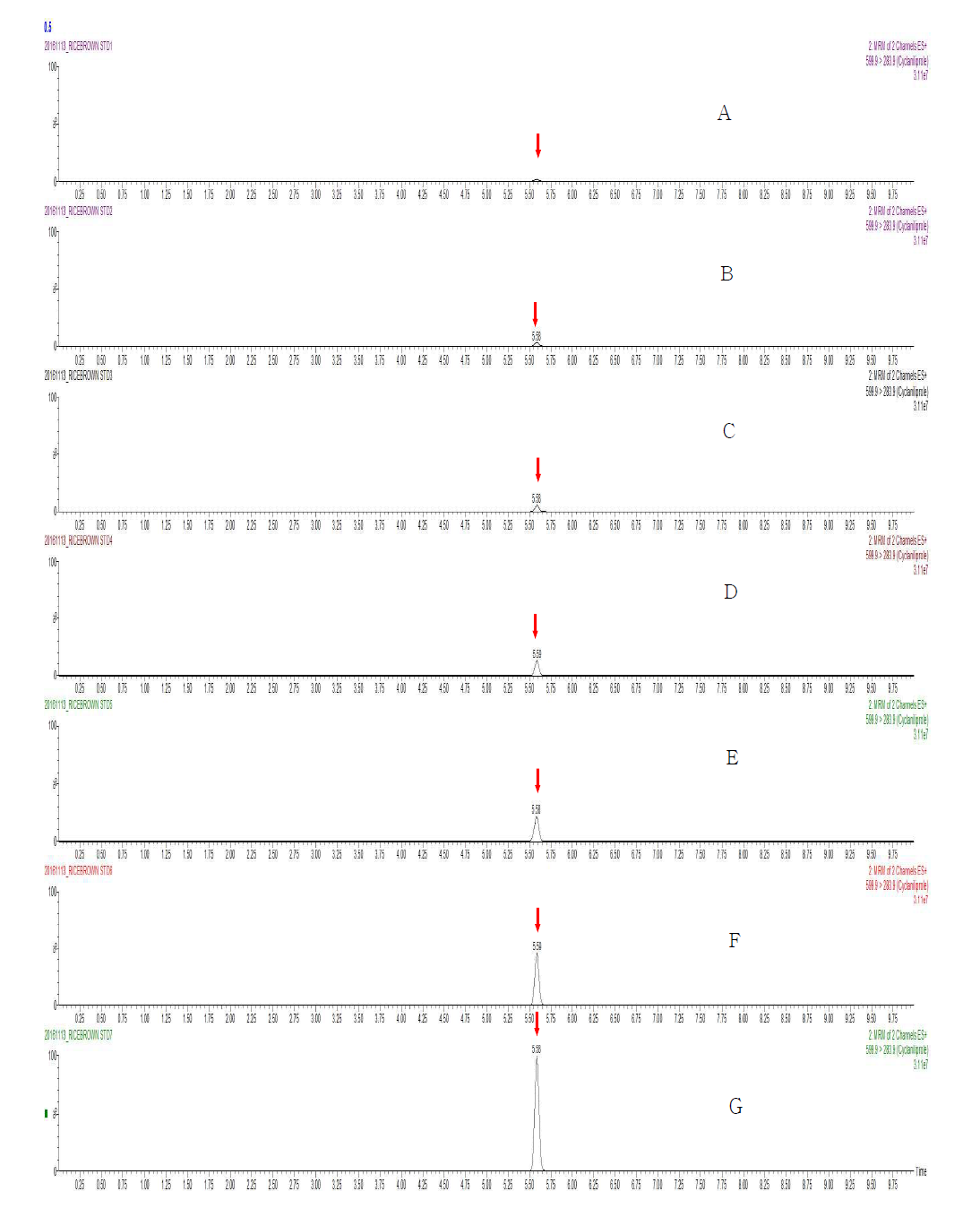 LC-MS/MS chromatograms of Cyclaniliprole standard in hulled rice matrix (A) 0.005 mg/kg, (B) 0.01 mg/kg, (C) 0.02 mg/kg, (D) 0.05 mg/kg, (E) 0.1 mg/kg, (F) 0.2 mg/kg, and (G) 0.5 mg/kg