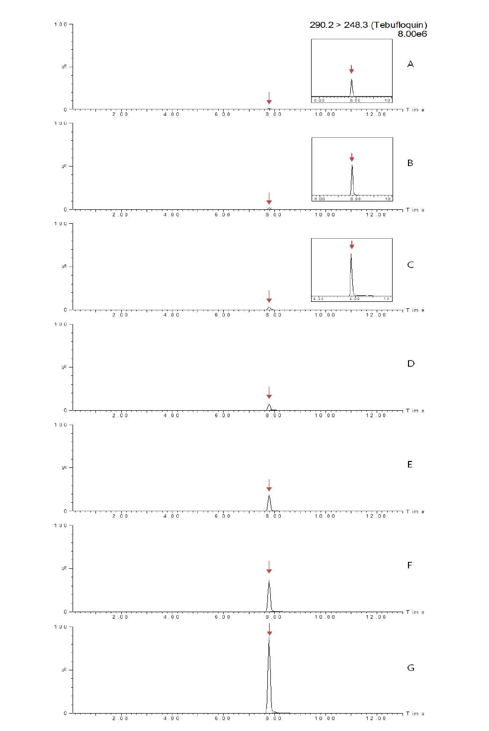 LC-MS/MS chromatograms of tebufloquin standard in mandarin matrix (A) 0.005 mg/kg, (B) 0.01 mg/kg, (C) 0.02 mg/kg, (D) 0.05 mg/kg, (E) 0.1 mg/kg, (F) 0.2 mg/kg and (G) 0.5 mg/kg