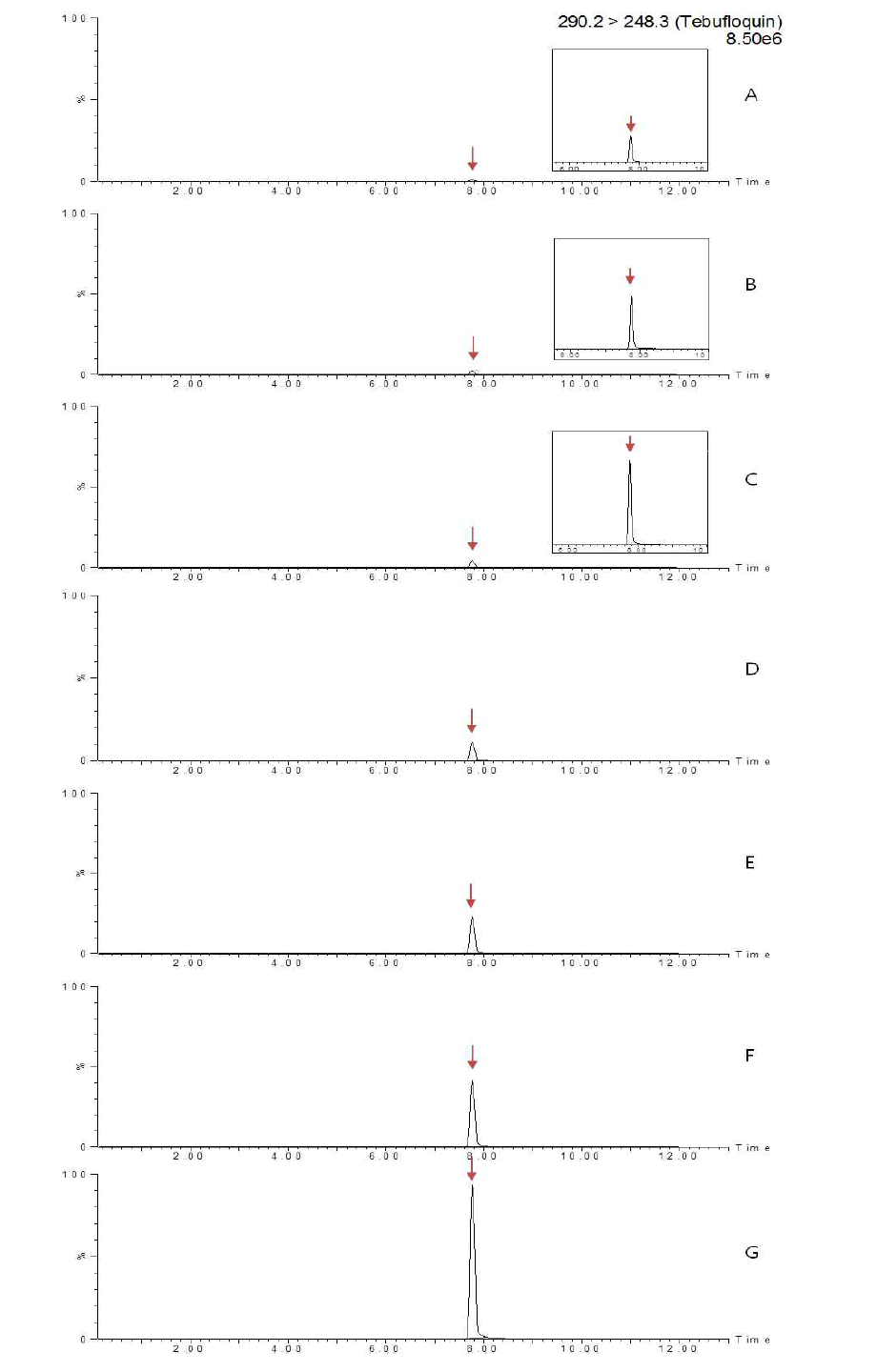 LC-MS/MS chromatograms of tebufloquin standard in potato matrix (A) 0.005 mg/kg, (B) 0.01 mg/kg, (C) 0.02 mg/kg, (D) 0.05 mg/kg, (E) 0.1 mg/kg, (F) 0.2 mg/kg and (G) 0.5 mg/kg