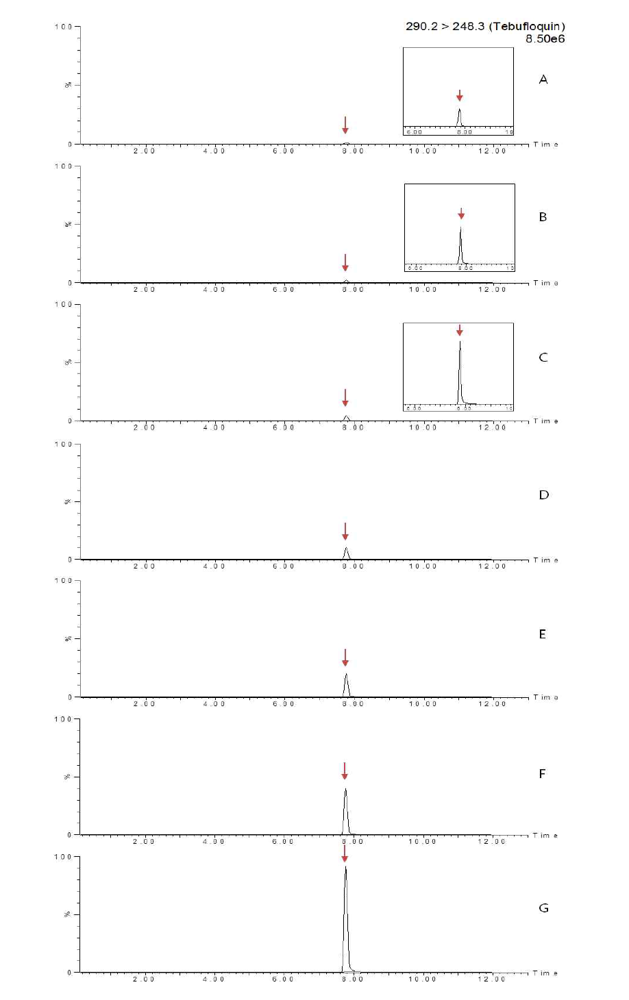 LC-MS/MS chromatograms of tebufloquin standard in pepper matrix (A) 0.005 mg/kg, (B) 0.01 mg/kg, (C) 0.02 mg/kg, (D) 0.05 mg/kg, (E) 0.1 mg/kg, (F) 0.2 mg/kg and (G) 0.5 mg/kg