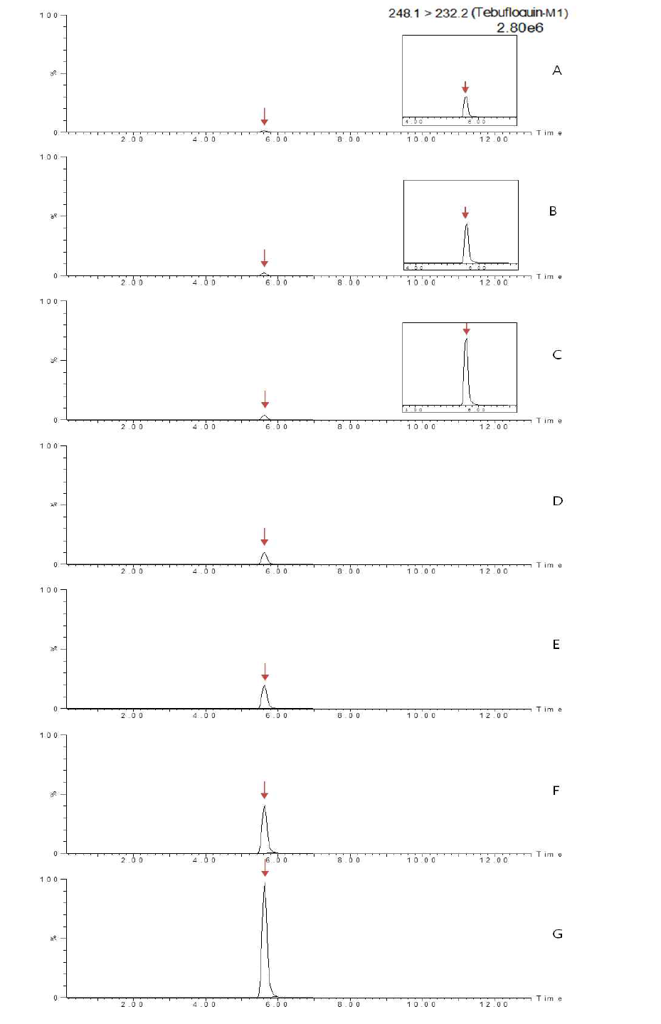 LC-MS/MS chromatograms of tebufloquin M1 standard in hulled rice matrix (A) 0.005 mg/kg, (B) 0.01 mg/kg, (C) 0.02 mg/kg, (D) 0.05 mg/kg, (E) 0.1 mg/kg, (F) 0.2 mg/kg and (G) 0.5 mg/kg