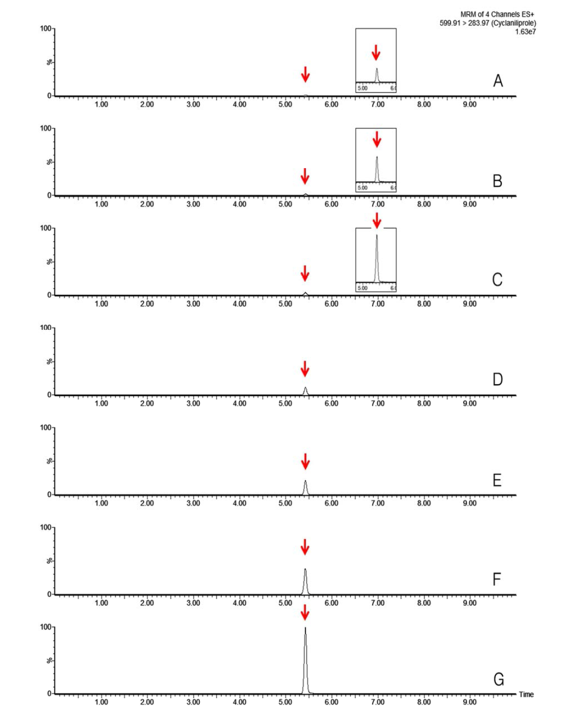 LC-MS/MS chromatograms of cyclaniliprole standard in potato matrix (A) 0.005 mg/kg, (B) 0.01 mg/kg, (C) 0.02 mg/kg, (D) 0.05 mg/kg, (E) 0.1 mg/kg, (F) 0.2 mg/kg and (G) 0.5 mg/kg