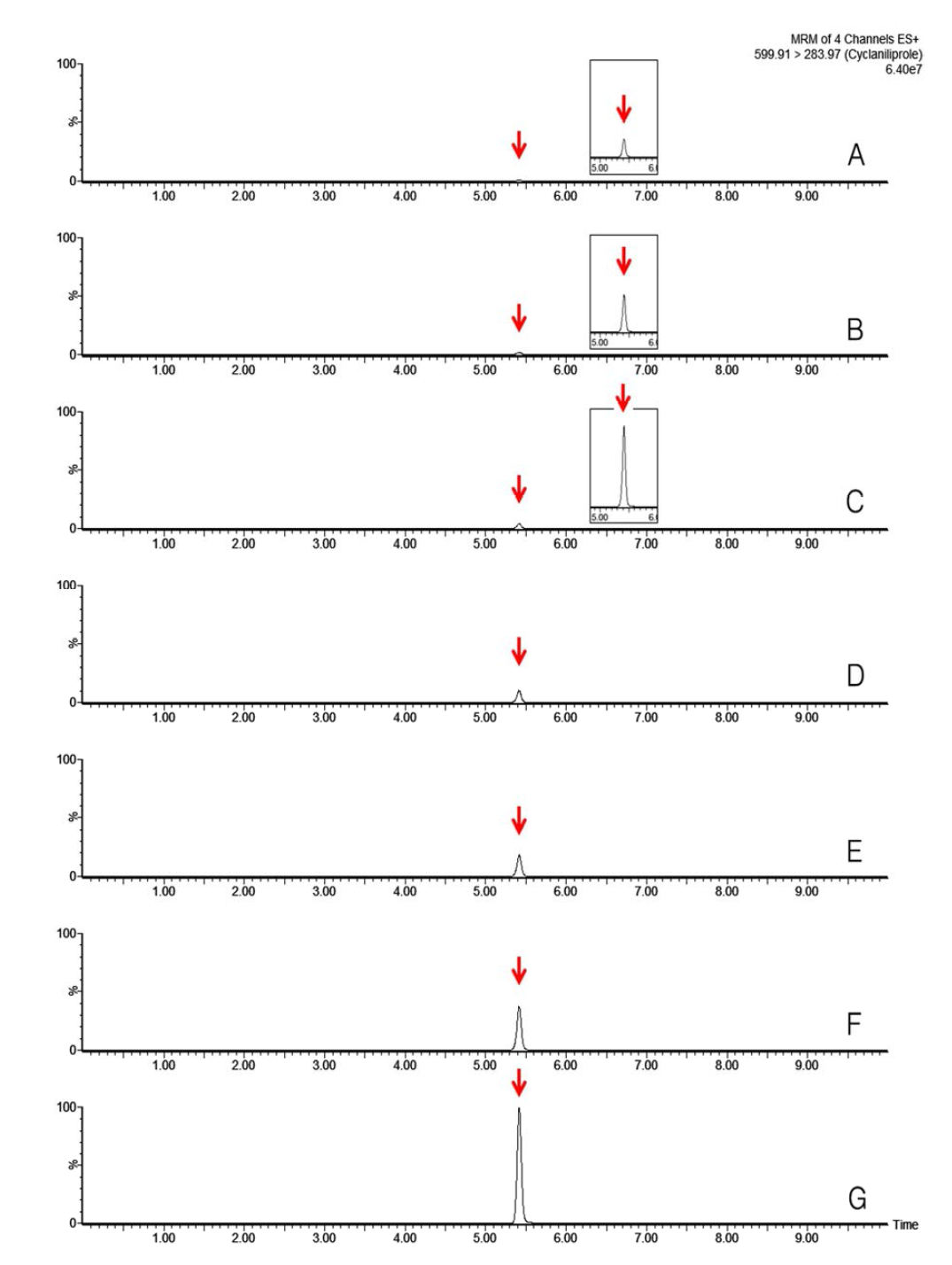 LC-MS/MS chromatograms of cyclaniliprole standard in pepper matrix (A) 0.005 mg/kg, (B) 0.01 mg/kg, (C) 0.02 mg/kg, (D) 0.05 mg/kg, (E) 0.1 mg/kg, (F) 0.2 mg/kg and (G) 0.5 mg/kg