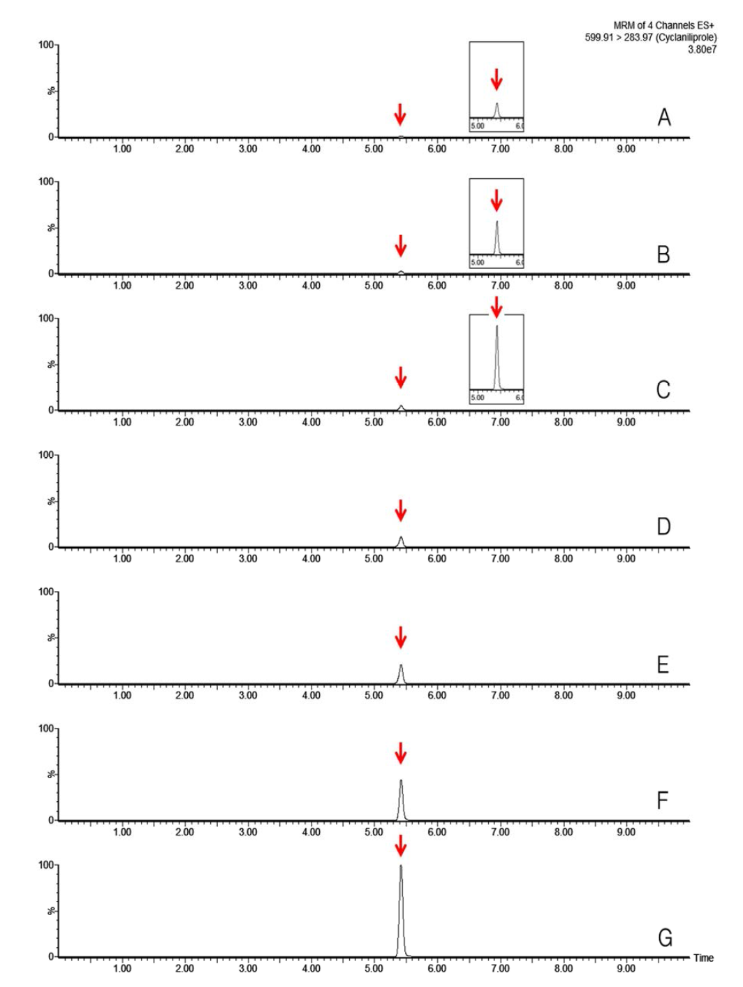 LC-MS/MS chromatograms of cyclaniliprole standard in hulled rice matrix (A) 0.005 mg/kg, (B) 0.01 mg/kg, (C) 0.02 mg/kg, (D) 0.05 mg/kg, (E) 0.1 mg/kg, (F) 0.2 mg/kg and (G) 0.5 mg/kg