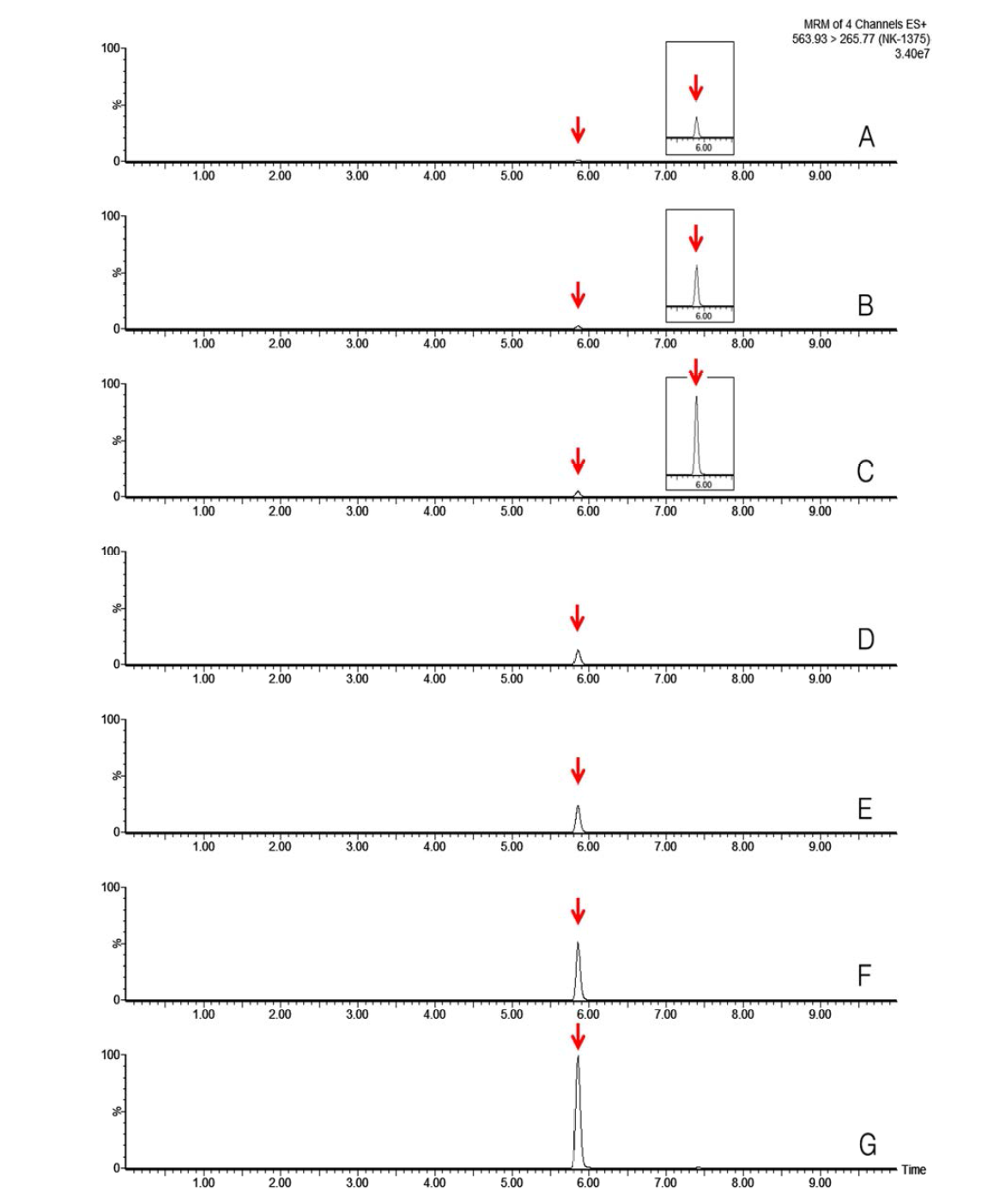 LC-MS/MS chromatograms of NK-1375 standard in mandarin matrix (A) 0.005 mg/kg, (B) 0.01 mg/kg, (C) 0.02 mg/kg, (D) 0.05 mg/kg, (E) 0.1 mg/kg, (F) 0.2 mg/kg and (G) 0.5 mg/kg