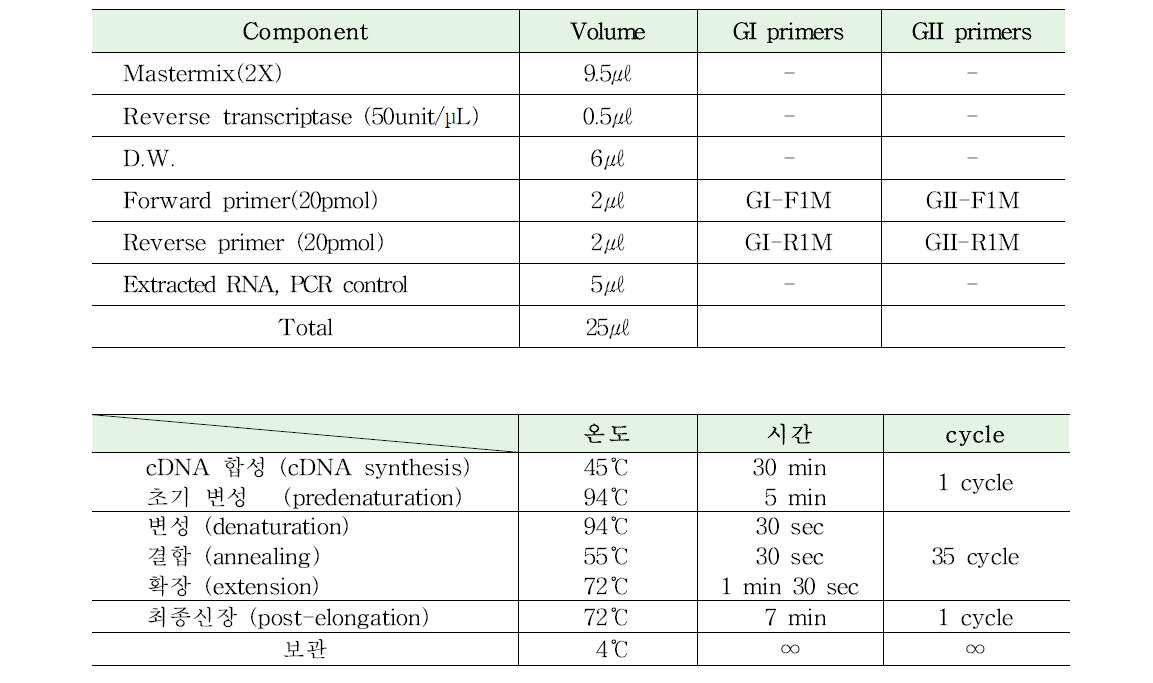 비임상분야 노로바이러스 Conventional RT-PCR(1st) PCR 증폭조건