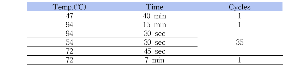 임상 분야 노로바이러스 Conventional RT-PCR(1st) PCR 증폭조건