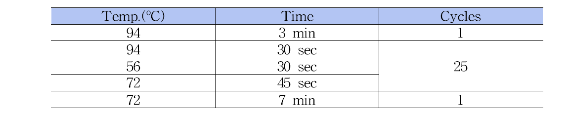 임상 분야 노로바이러스Conventional RT-PCR(2nd) PCR 증폭조건