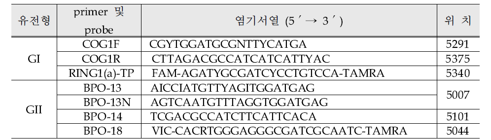 노로바이러스 Duplex Realtime RT-PCR의 프라이머와 프로브의 염기서열