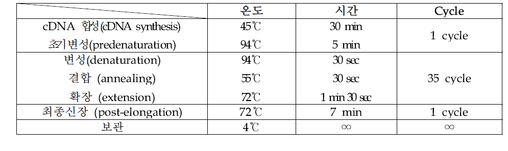 노로바이러스 One-step RT-PCR 반응조건 및 온도