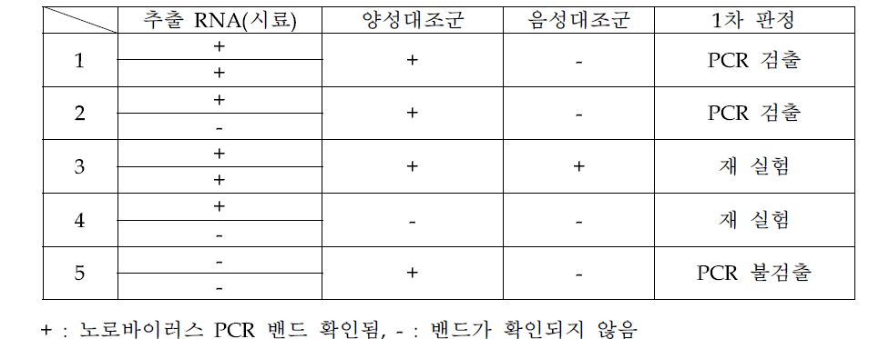 노로바이러스 PCR 결과판정 (예시)