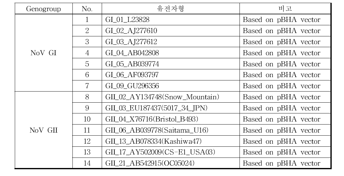 국내검출빈도를 고려한 노로바이러스 유전자형의 RNA 인위합성 목록