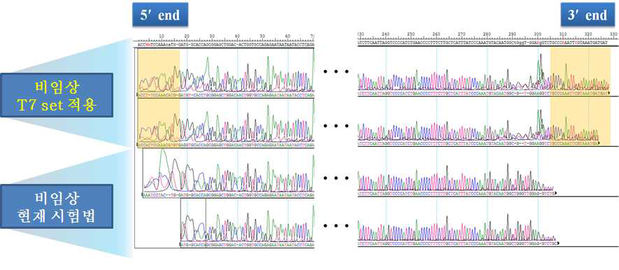 기존 시험법 프라이머와 T7F primer set을 적용에서 read length의 비교