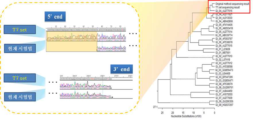 기존시험법과 T7F primer set의 read length 비교 및 유전자형 결정 결과