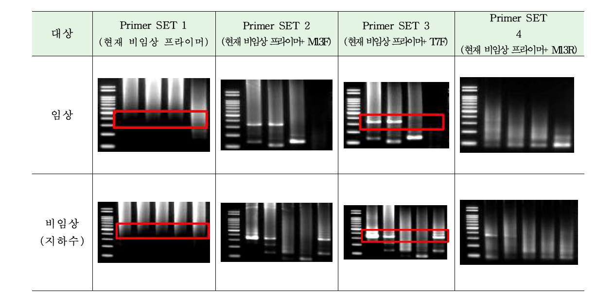 기존시험법과 T7F primer set를 이용한 노로바이러스 실제시료 PCR 증폭결과