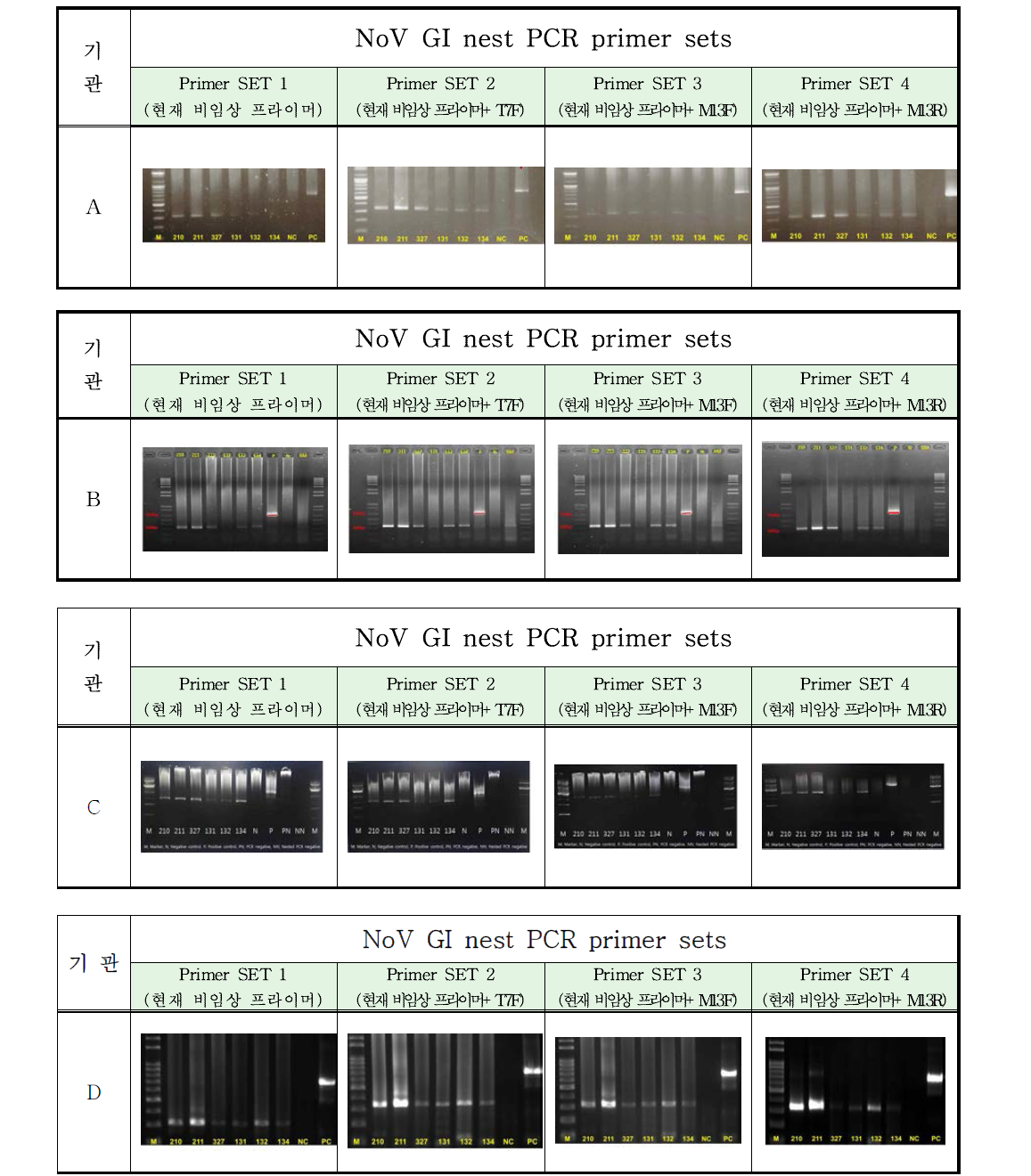 기존시험법과 T7F primer set를 이용한 노로바이러스 실제시료 PCR 증폭결과