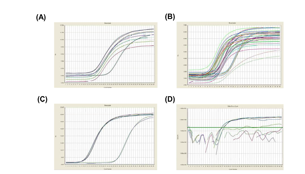 4종 식중독바이러스 시험법 개선에 사용된 시료 사전 Real time PCR 결과