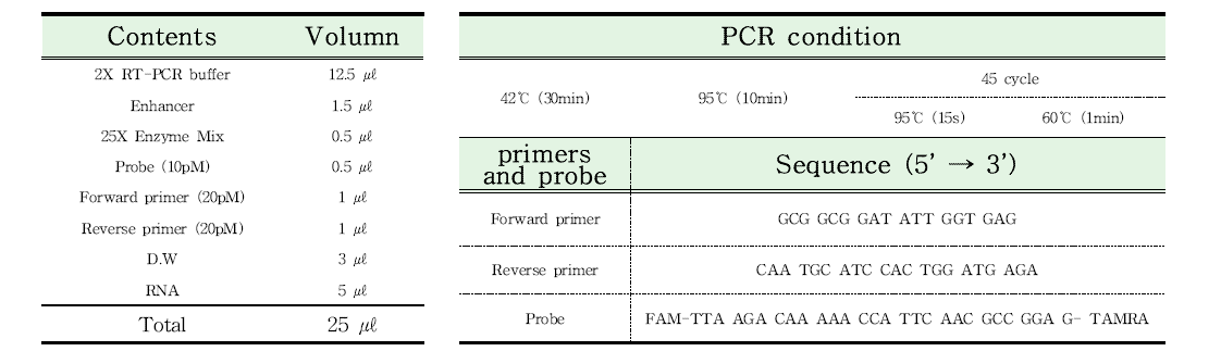 신규 A형 간염바이러스 Realtime RT-PCR 조건