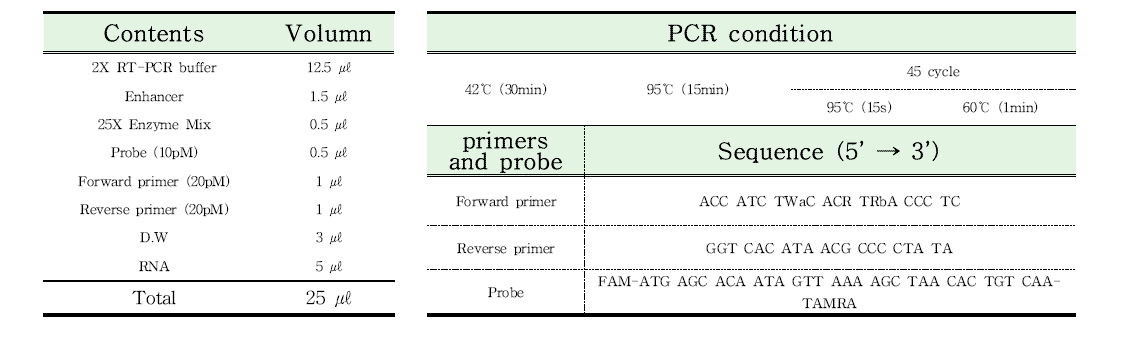 신규 로타바이러스 Realtime RT-PCR 조건