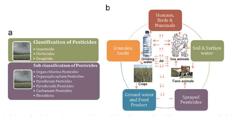 농약의 분류 및 농약의 노출 경로(Kumer et al., 2015)