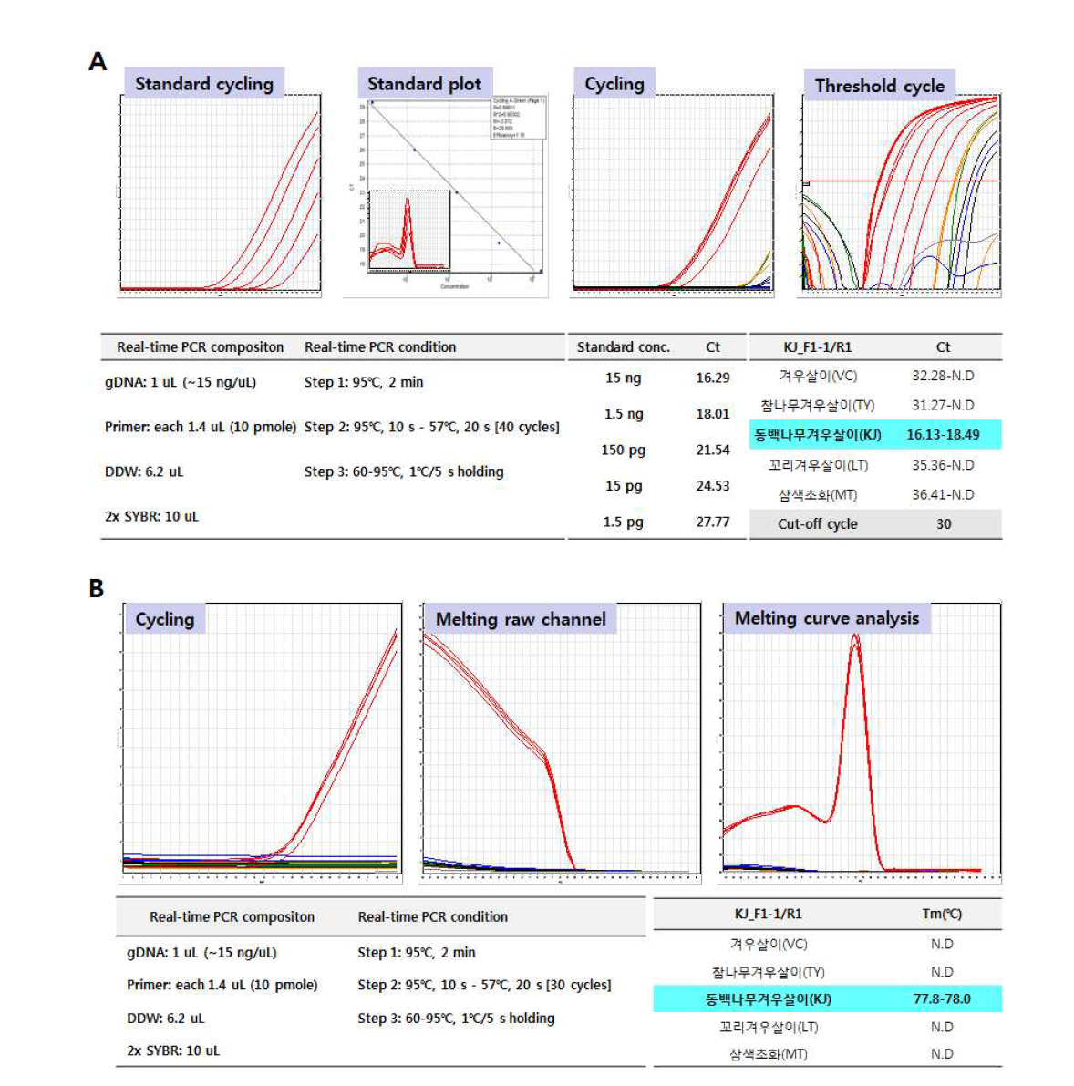 SCAR마커 기반 동백나무겨우살이 종 판별용 Real-time PCR