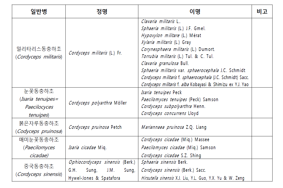 동충하초류 대상종 정·이명 목록