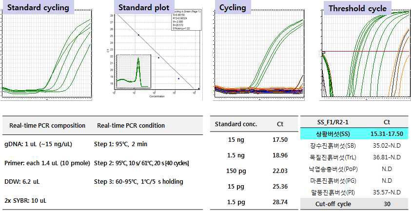 Real-time PCR 분석을 통한 종 판별 DNA 검량선 작성 및 Ct 값