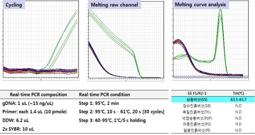 SCAR마커 기반 상황버섯(S. sanghuang) 종 판별용 Real-time PCR법 개발