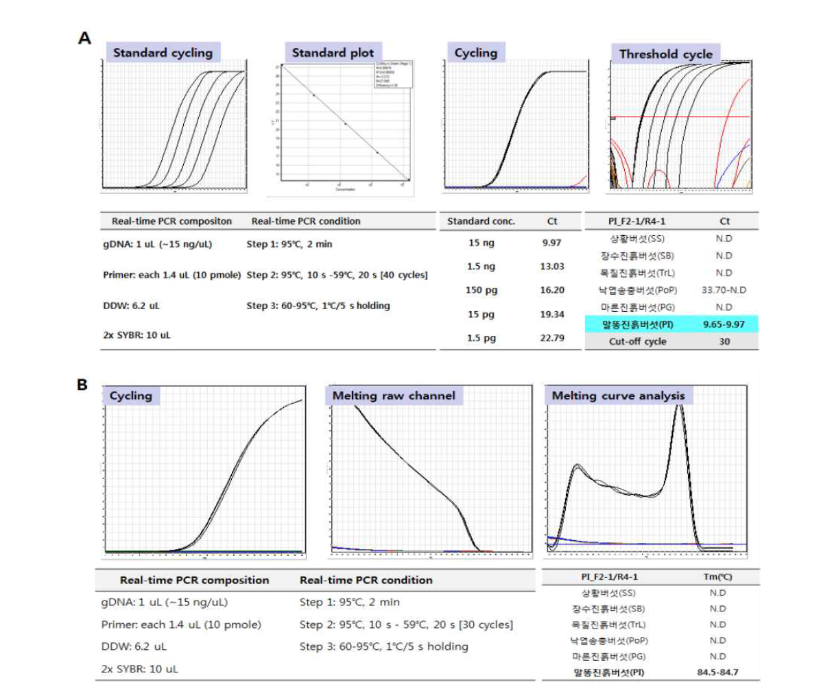SCAR마커 기반 말똥진흙버섯(P. igniarius) 종 판별용 Real-time PCR법 개발