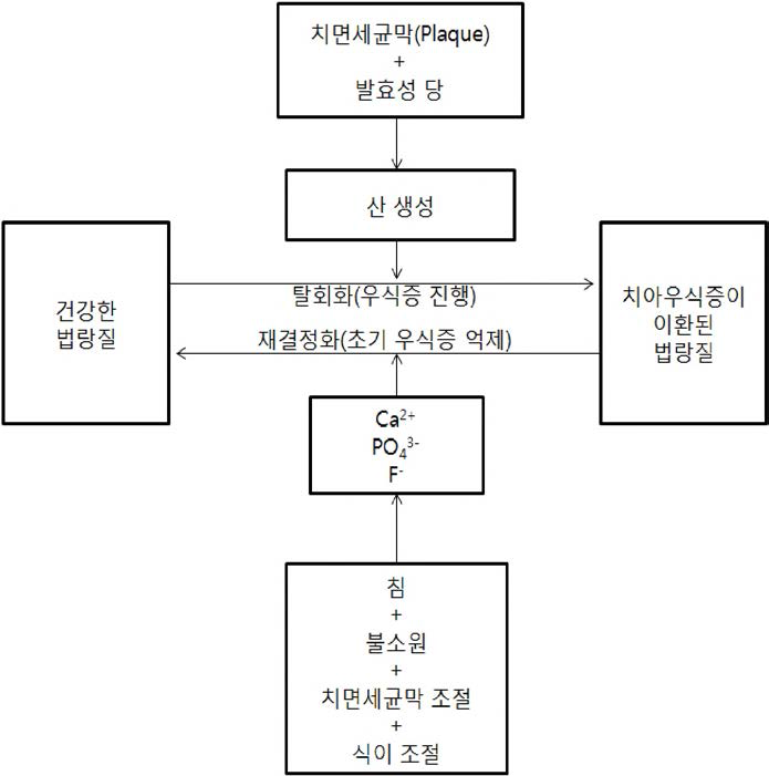 재결정화 탈회화 도식