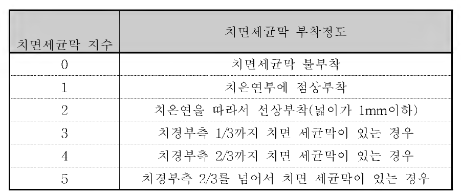 Turesky가 변형한 Quigley와 Hein의 치면 세균막지수의 기준