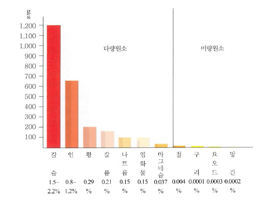 체중 60 kg 인 사람에 함유된 무기질의 양