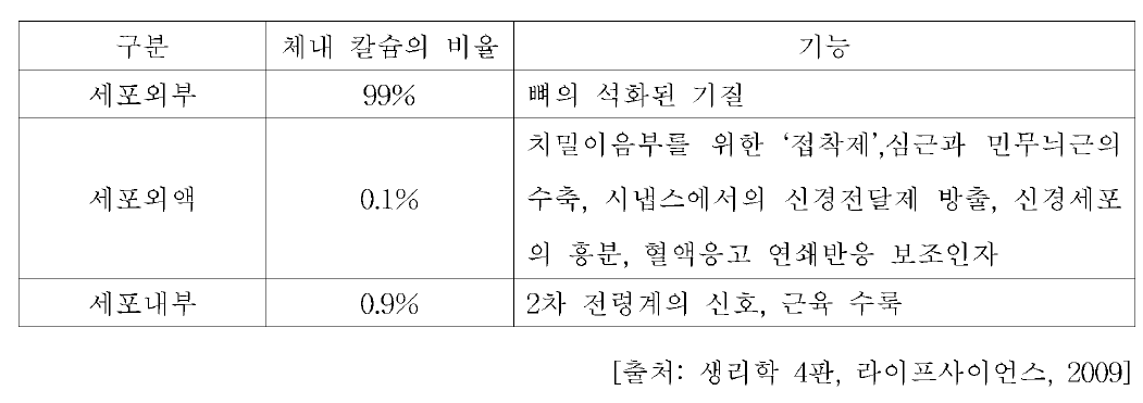 몸의 칼슘의 기능