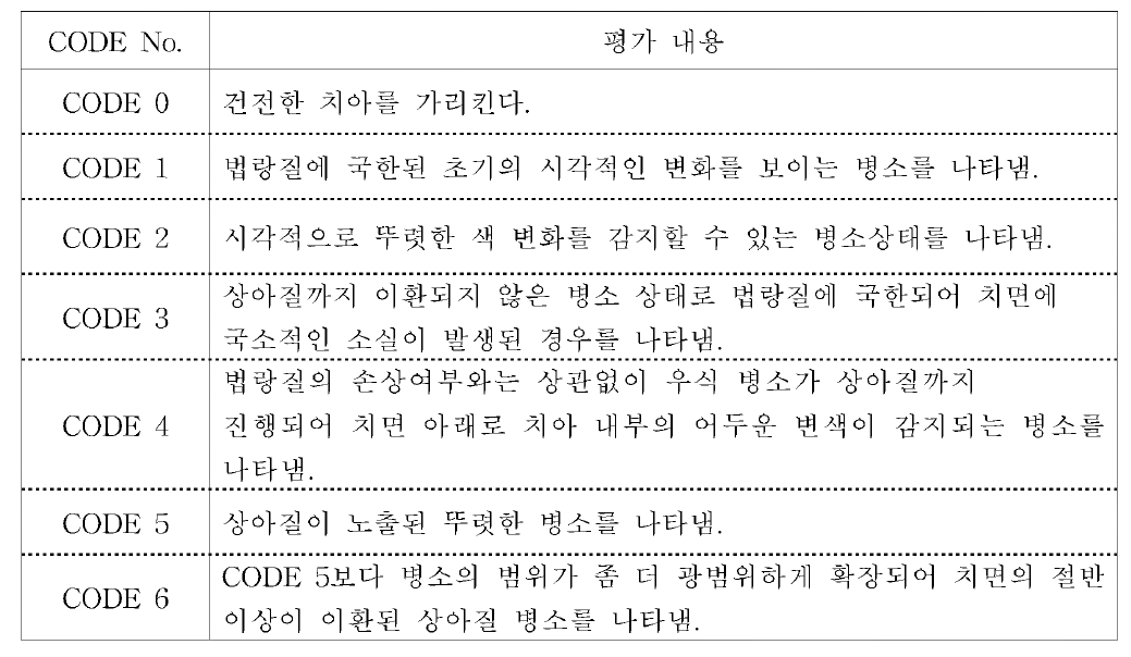 ICDAS 평가 체계의 기준