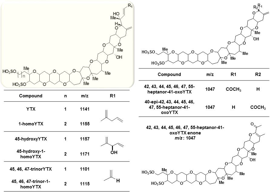 Chemical structures of YTXs group