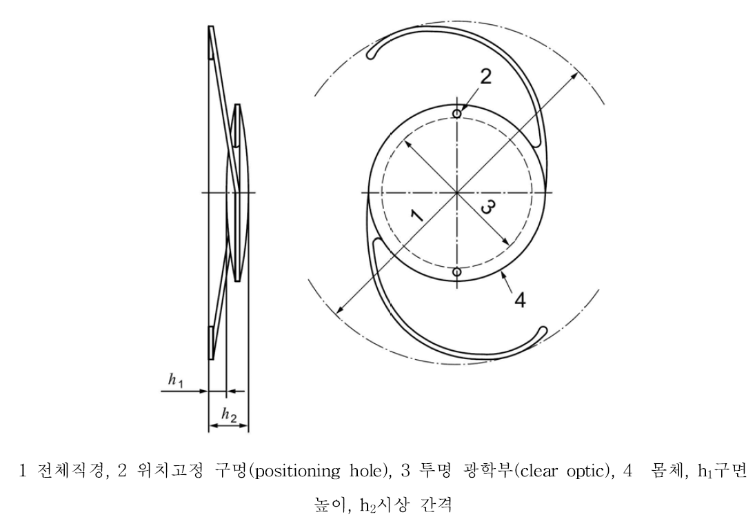 전체 직경, 구면 높이, 시상 간격, 투명 광학부, 몸체 및 위치고정 구멍