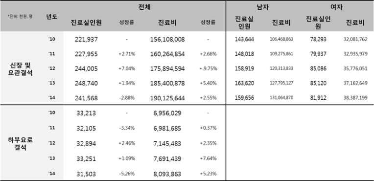 연도 및 질병 별 체외충격파쇄석술 현황 표