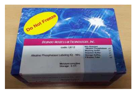 Alkaline phosphatase labeling kit-NH2
