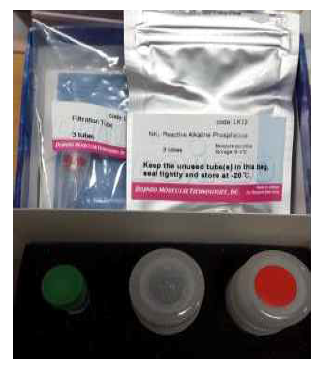 Alkaline phosphatase labeling kit-NH2 내용물