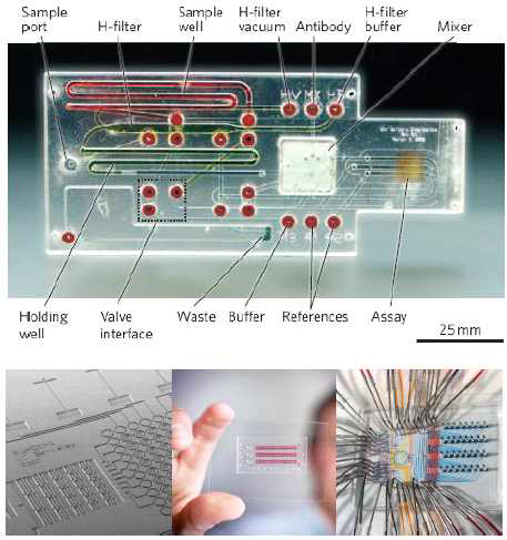미세유체칩(microfluidics chip)의 예