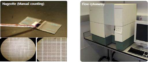 잔존백혈구 수를 측정하기 위한 Nageotte hemacytometer와 flow cytometer