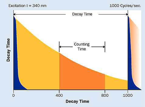 란탄계열 원소(유러피엄)에 대한 형광 강도의 시간적 변화