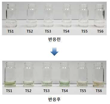 겐타마이신황산염 현행 KP 확인시험법 정색반응 결과