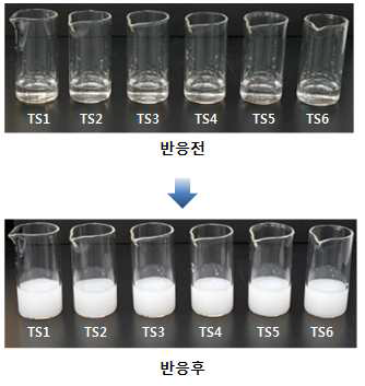 겐타마이신황산염 현행 KP 확인시험법 정성반응 결과