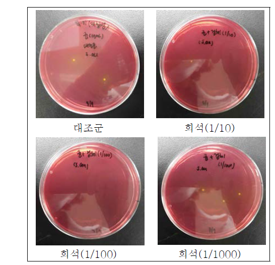 측정법적합성시험 (Staphylococcus. aureus)