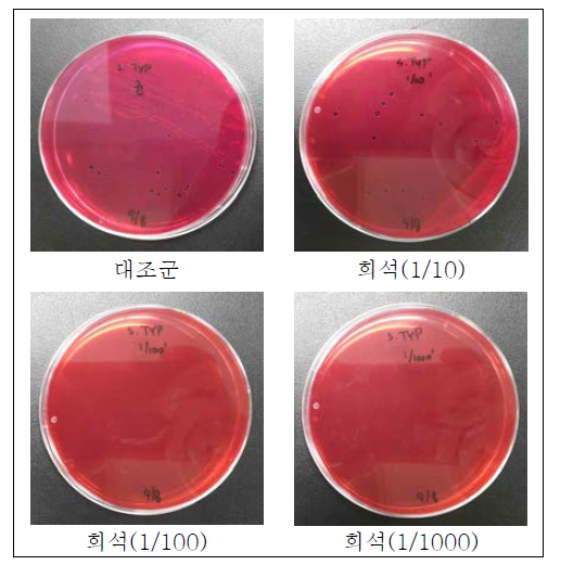 측정법적합성시험 (Salmonella. Typhimurium)