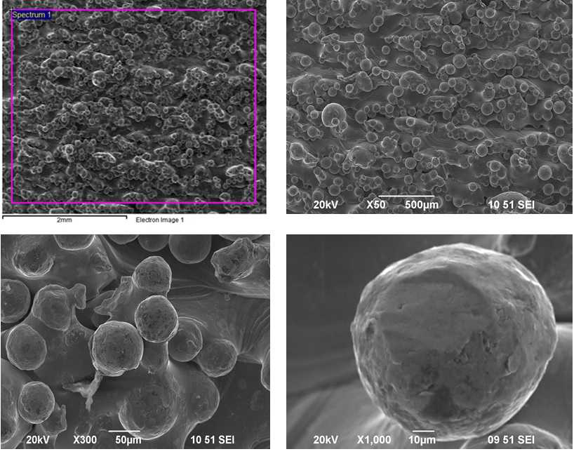 SEM analysis for 3D printed PCL