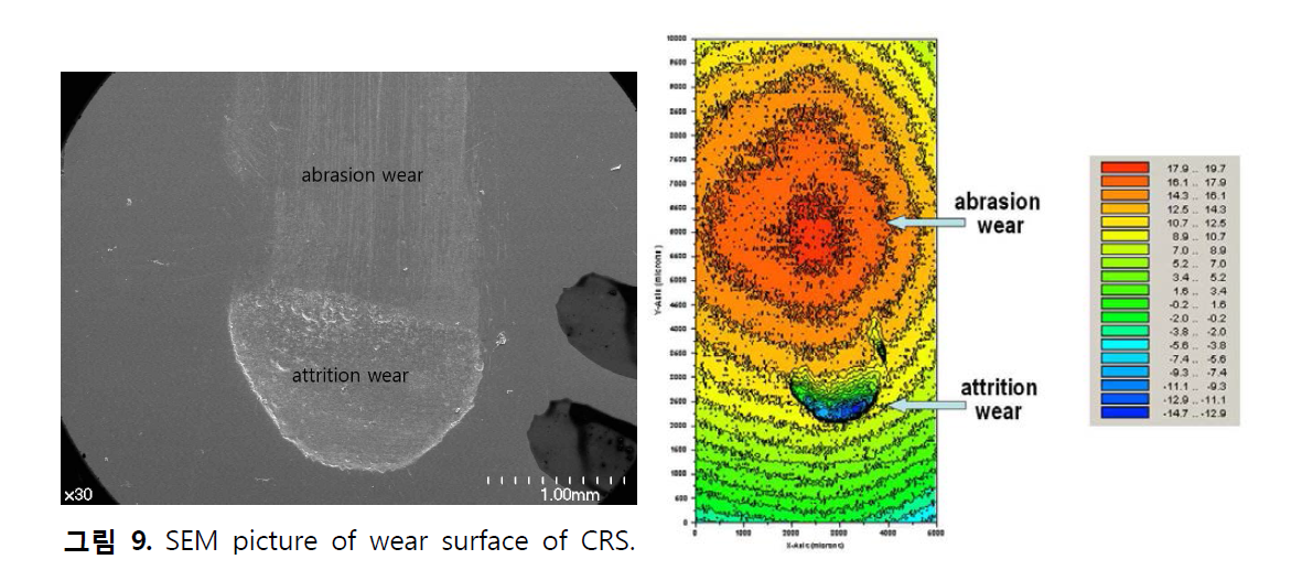 SEM picture of wear surface of CRS.