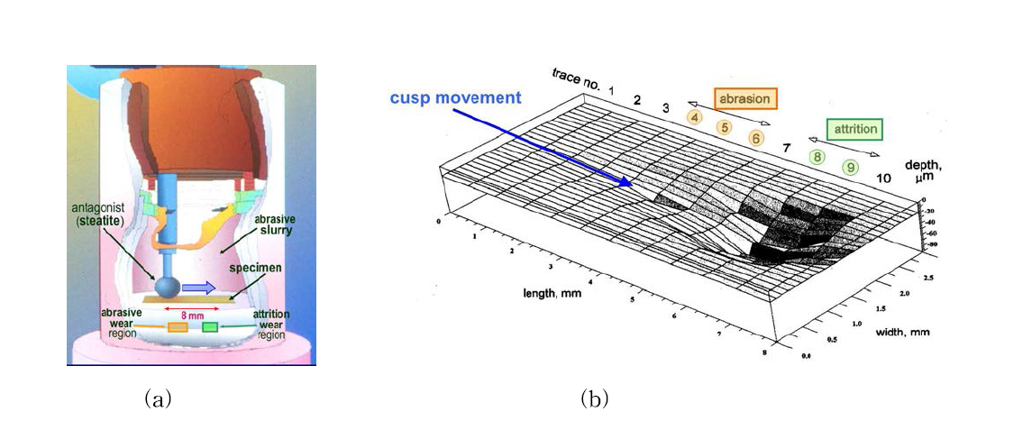 (a) = 마모시험장치 챔버; (b) = 마모된 시편에서 abrasion 마모 부위와 attrition 마모 부위 위치.