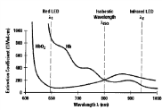 헤모글로빈의 파장열 흡수 스펙트럼